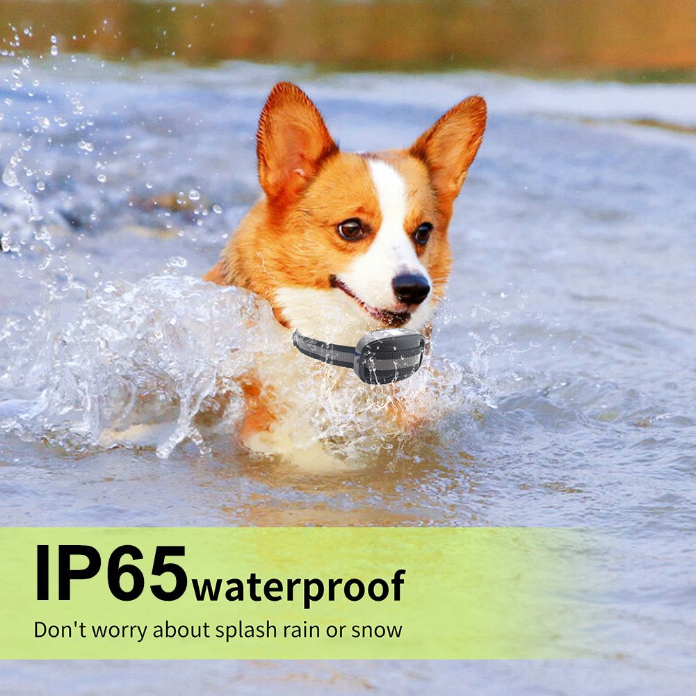 GPS Wireless Dog Fence Pet Containment System Waterproof Training Collars(tk/temu self-pickup orders)
