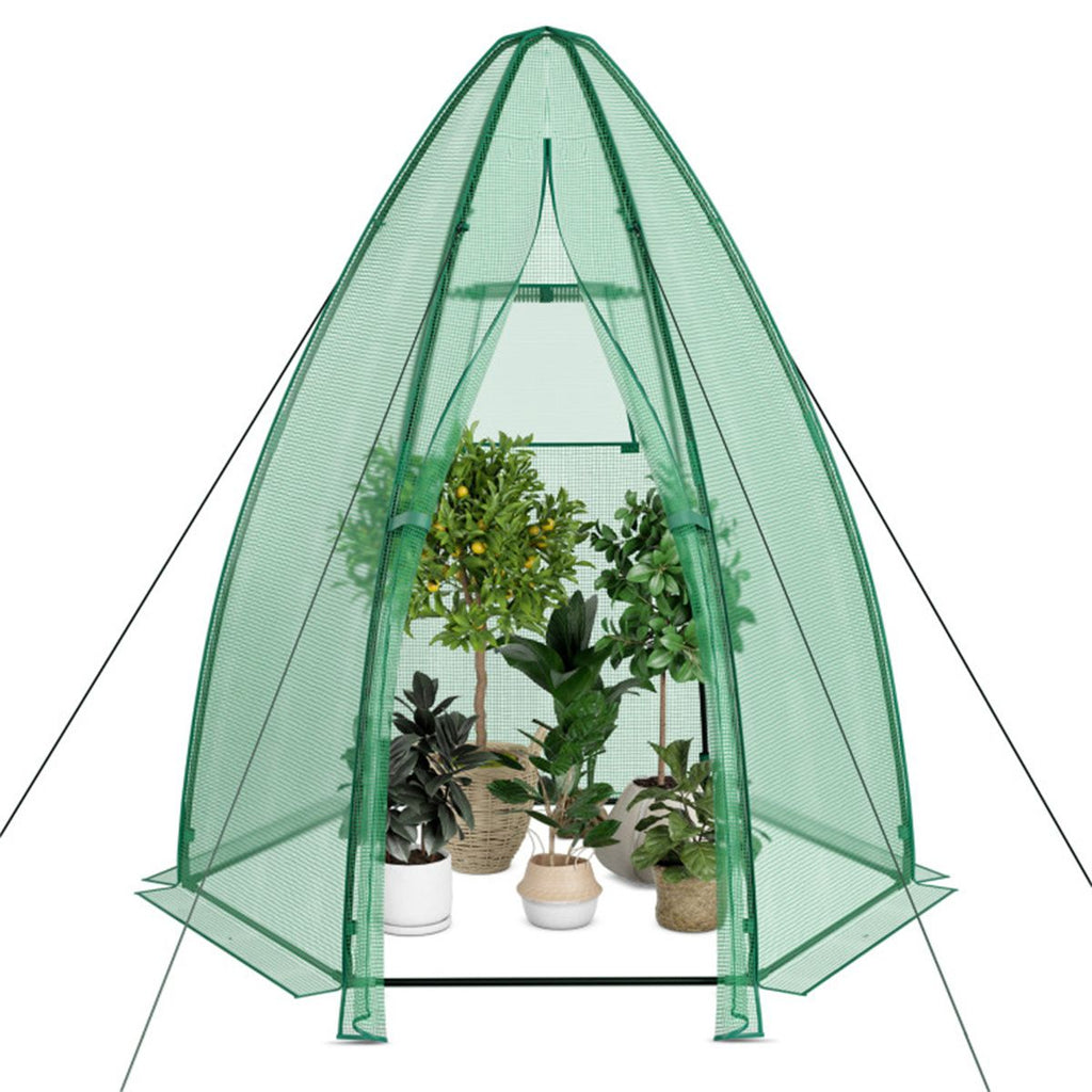Hexagonal Mini Greenhouse with Zipper Door & Roll-Up Window, PE Cover Outdoor Plant House