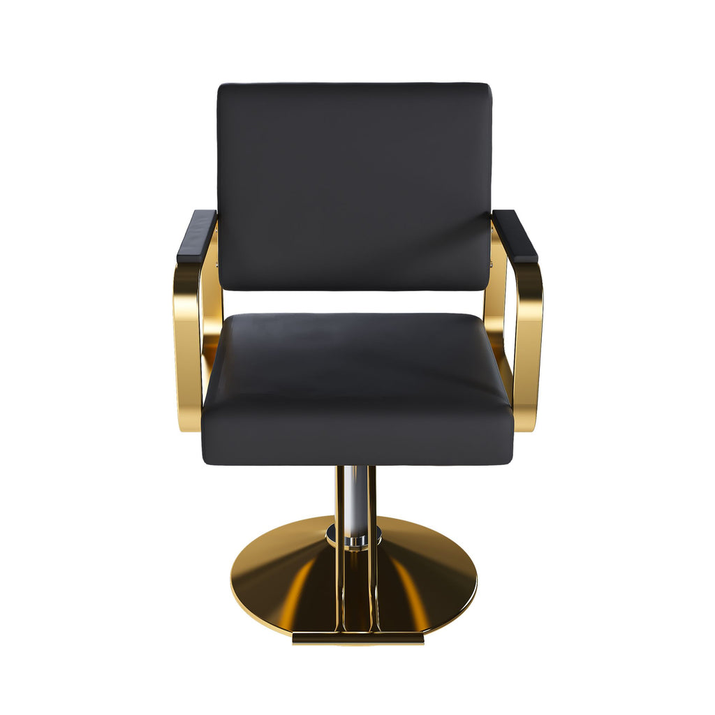 Hydraulic Salon Chair - 360° Swivel Barber Stylist Chair with Pump, Non-Tilting Hairdressing Chair for Hair Salons, Tattoo & Beauty Spa (Professional Stylist Equipment)