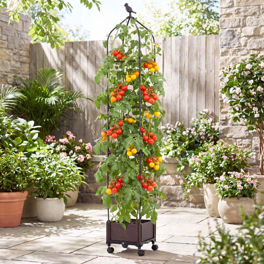 Indoor Outdoor Raised Garden Bed with Trellis and Self-Drainage and Wheels