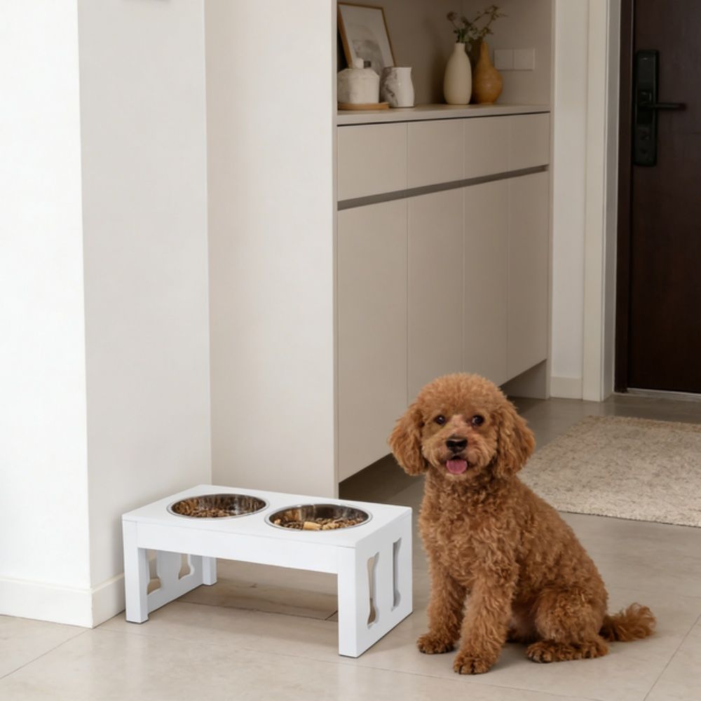 Pet Feeder Station with Easy to Clean and Non-Slip Base 12 Inches
