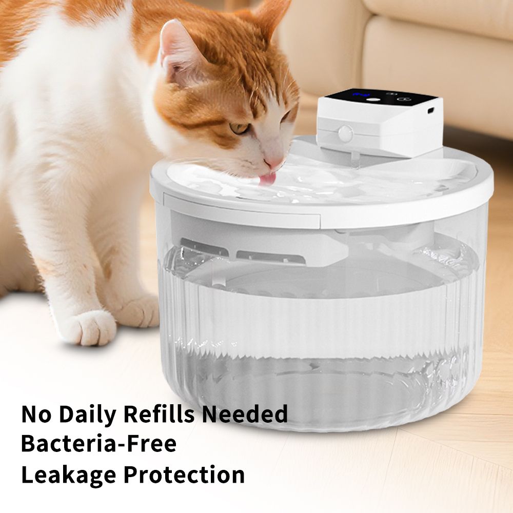 pet water dispenser, every bite is fresh mountain spring