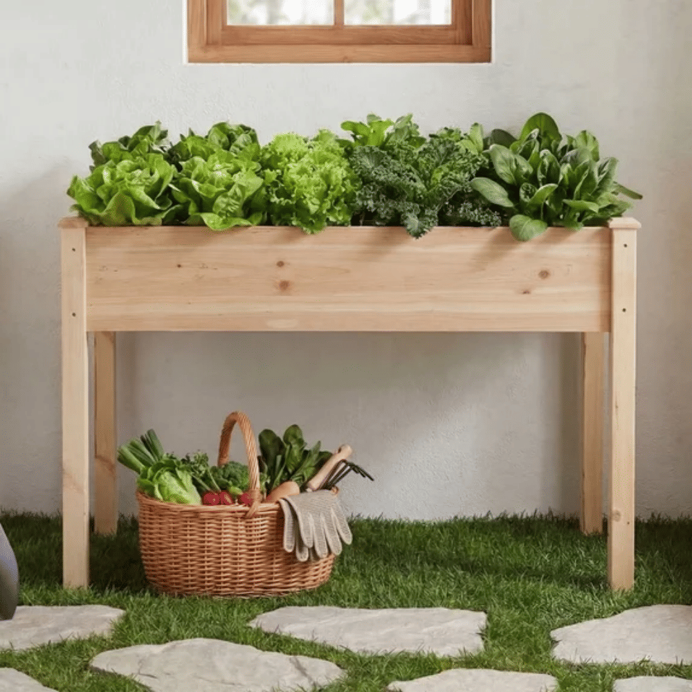 Raised Garden Bed - Cedar Planter with Non-Woven Liner, Bottom Drainage, 30-Inch Height, 48 x 24 x 30 in Sizes for Outdoor PlantsWood (Shipment from Walmart)