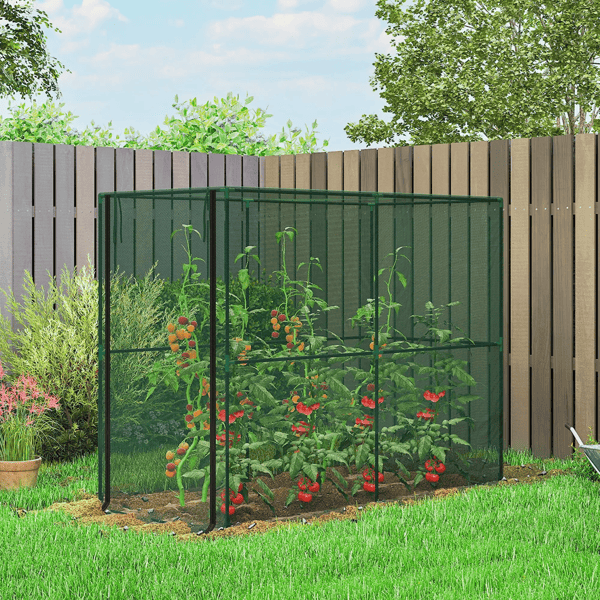 Raised Garden Bed
