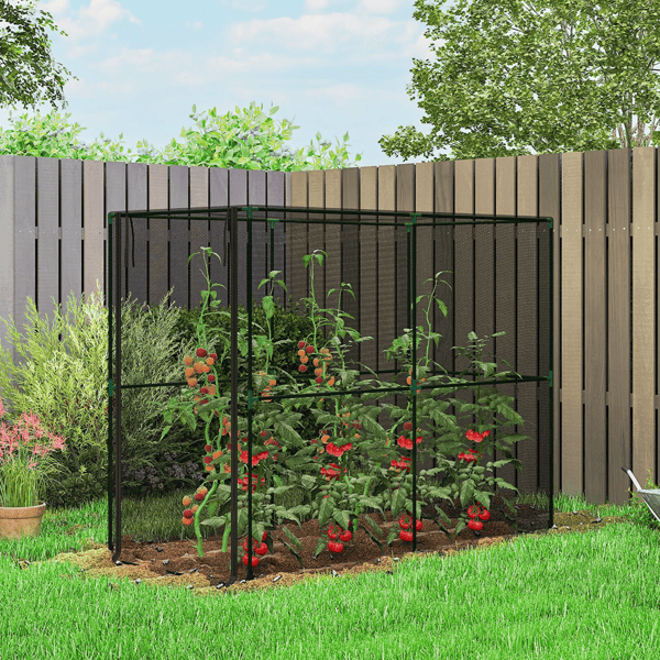 Raised Garden Bed