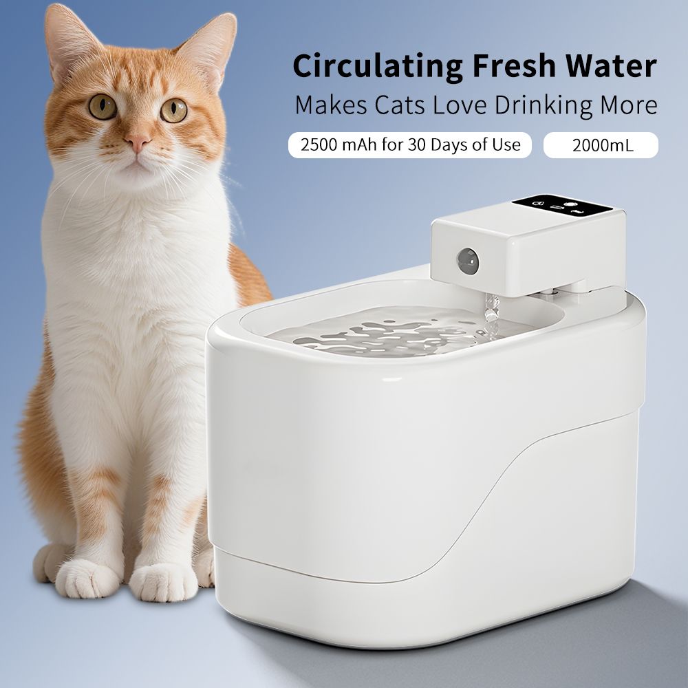 Small sugar pet water dispenser, multi-layer filtration to maintain water quality, large capacity water storage, beautiful and practical for home placement