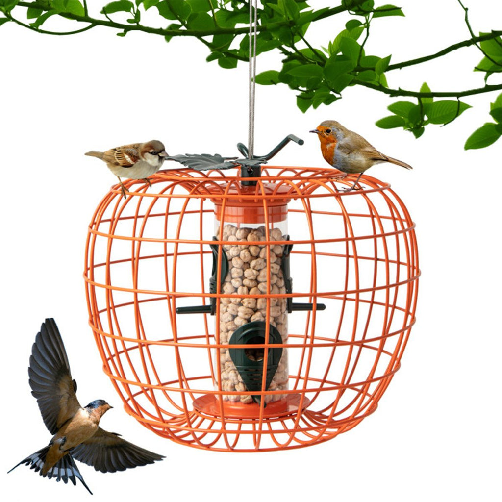 Squirrel-Proof Bird Feeder with Cage and 4 Metal Ports