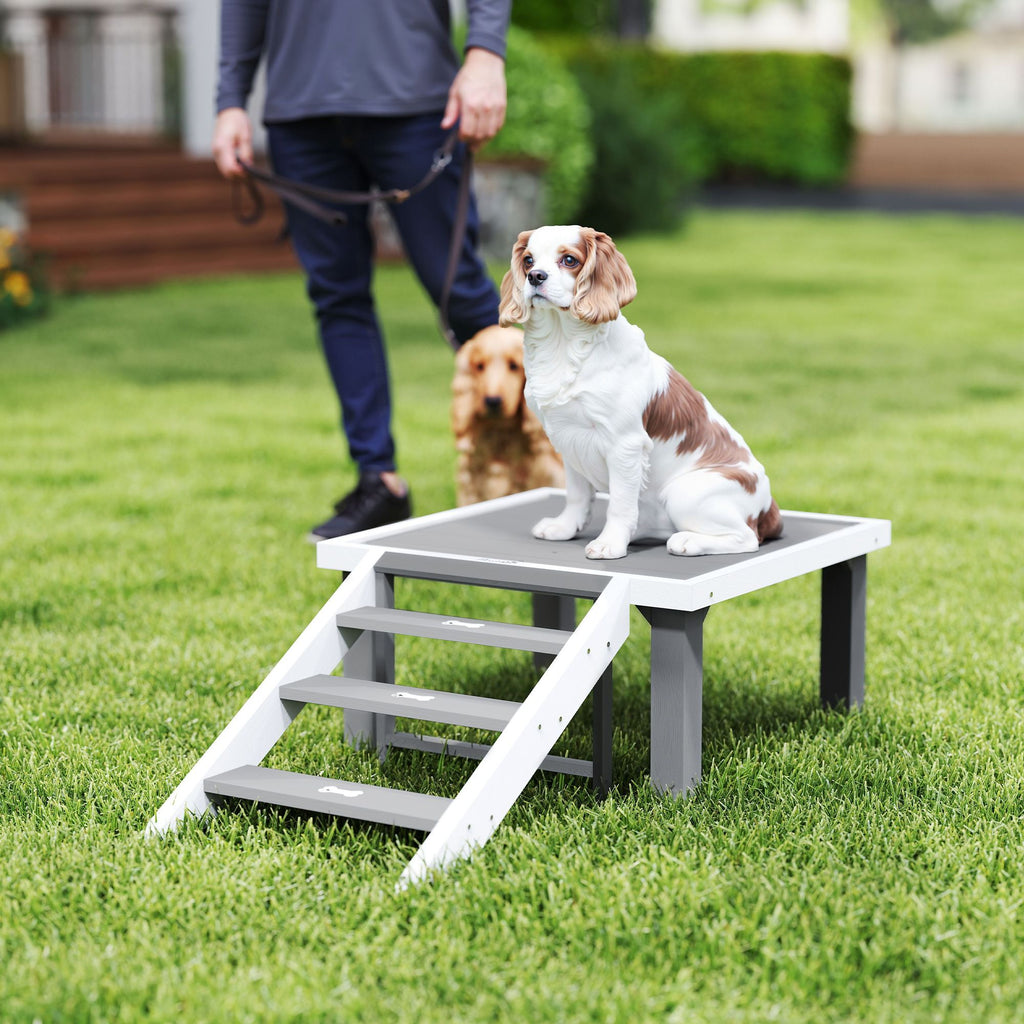 Wooden Dog Training Place Board ( Amazon Shipping)(Prohibited by WalMart)